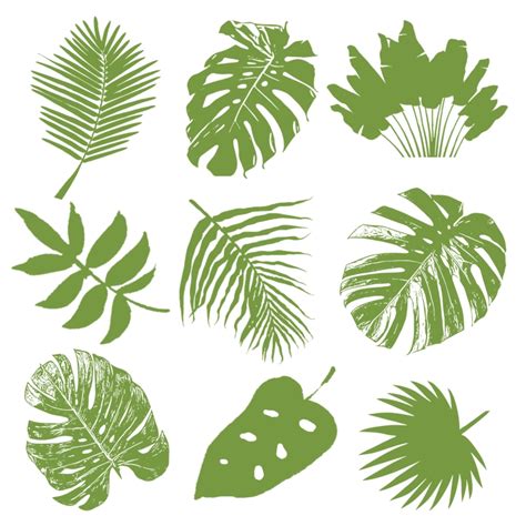 45 Jungle Tropical Leaves Photoshop Brush - brush for photoshop