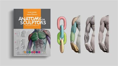 Understanding the Human Figure book | by Anatomy for Sculptors