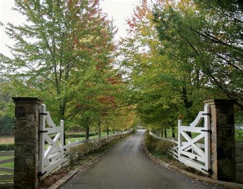 Walland Photos - Featured Images of Walland, TN - Tripadvisor