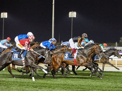 Dubai World Cup 2023 confirmed for March 25 | Time Out Dubai