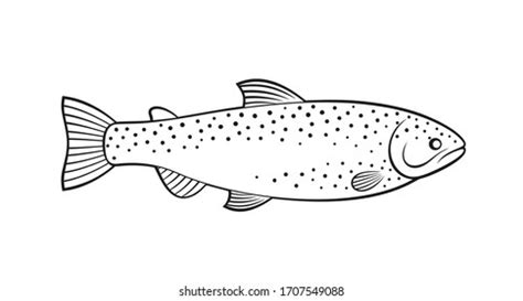 Rainbow Trout Outline Isolated Trout On Stock Vector (Royalty Free) 1707549088 | Shutterstock