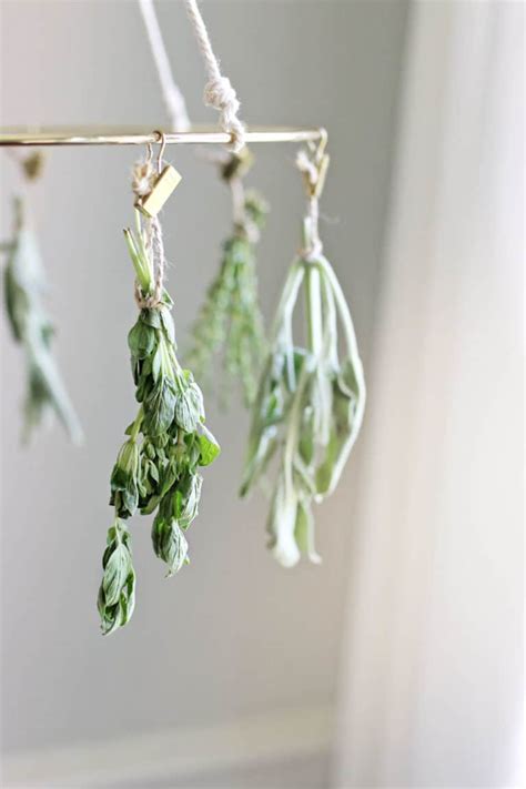 This DIY Herb Drying Rack Is the Kitchen Accessory You Didn't Know You ...