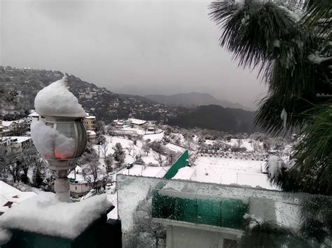 Season's Second Snowfall in Kasauli - Hotel Kasauli Regency