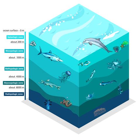 Water Column Exploration Gets An Upgrade: 2021 EM 304 Sea Acceptance ...