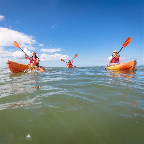 Kayak Ocean Tour - Ocean Rentals