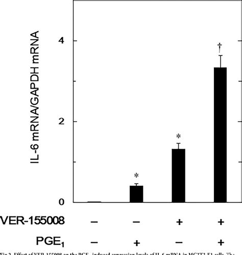 Figure 2 from HSP70 inhibitors upregulate prostaglandin E1-induced ...