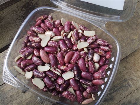 Kidney Beans | Recipes from Nash's Organic Produce