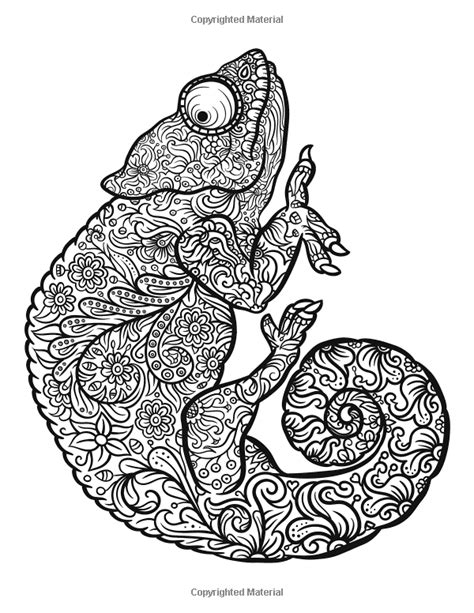 Pin on Animals Adult Colouring ~ Zentangles