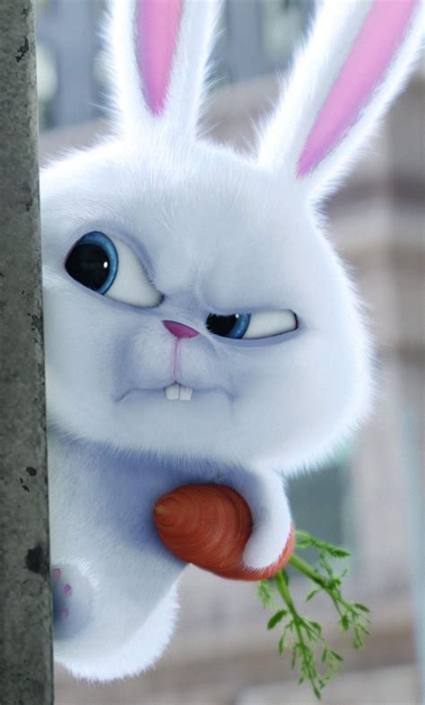 Cute Snowball Bunny Wallpaper - Lodge State