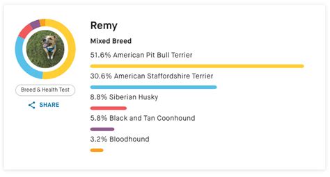 Embark Dog Breed Identification DNA Test [2022 Review]