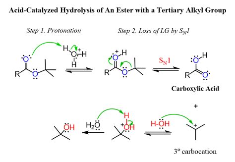 Mechanism of Acid-Catalyzed Hydrolysis of An Ester with a Tertiary Alkyl Group | Organic ...