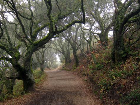 Best Hikes in NorCal | The Bay Club Blog