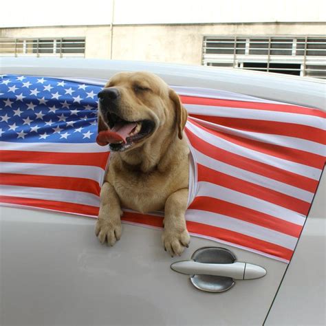 Foldable Car Visor Cover Window Sun Shade Pet Dog Hang Out Car Window Shade Dog Accessories Car ...