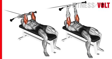 Cable Lying Triceps Extension Exercise: How-To, Variations and Video Guide