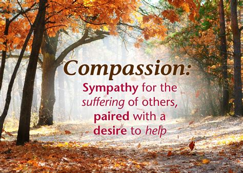 Compassion: Sympathy for the suffering of others paired with the desire to help. | Compassion ...