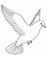 Fly Guy Coloring Pages At GetColoringscom  Free Printable Colorings sketch template