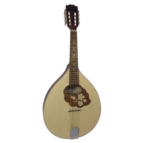 What are the Different Types of Mandolin?