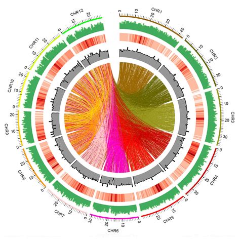 A Whole-Genome Sequenced Rice Mutant Resource for the Study of Biofuel Feedstocks - Berkeley Lab ...