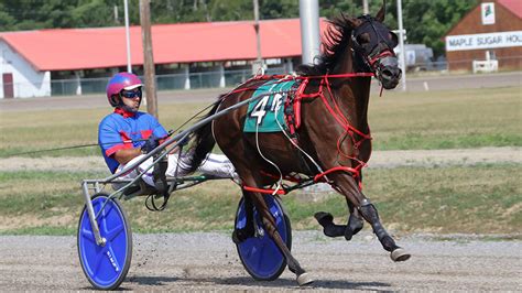 Maine freshman finals set for Cumberland – U.S. Trotting News