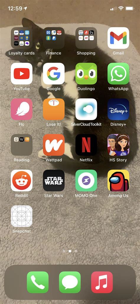 Missing icon (I redownloaded Snapchat and the icon disappeared) : r/mildlyinfuriating