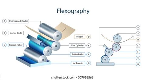 Flexo Printing Images, Stock Photos & Vectors | Shutterstock