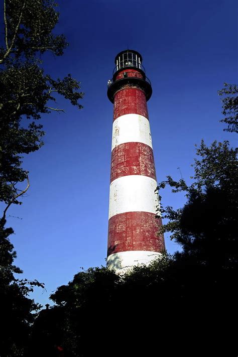 Chincoteague Lighthouse Photograph by Sally Weigand