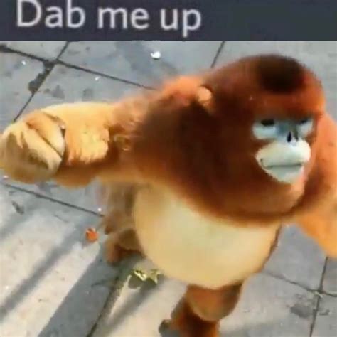 dab me up monke | Dab Me Up Emoji | Know Your Meme