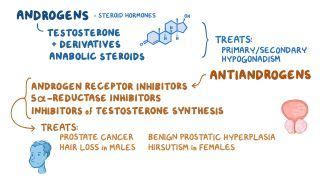 Micropenis: What Is It, Causes, Diagnosis and More | Osmosis