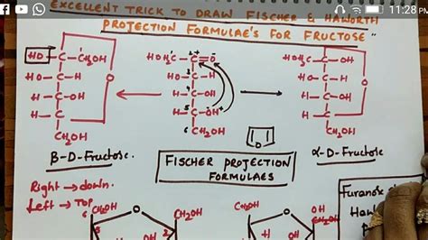 Structure Of D Fructose