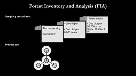 Big data for Global Change Ecology (Biogeography) - ppt download