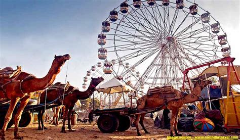 Pushkar Camel Fair | Travel Guide | Waytoindia.com