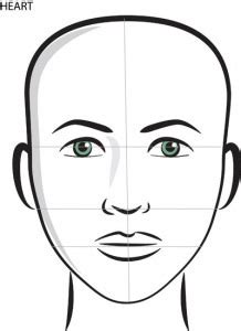 Head Anatomy Diagram | Quizlet