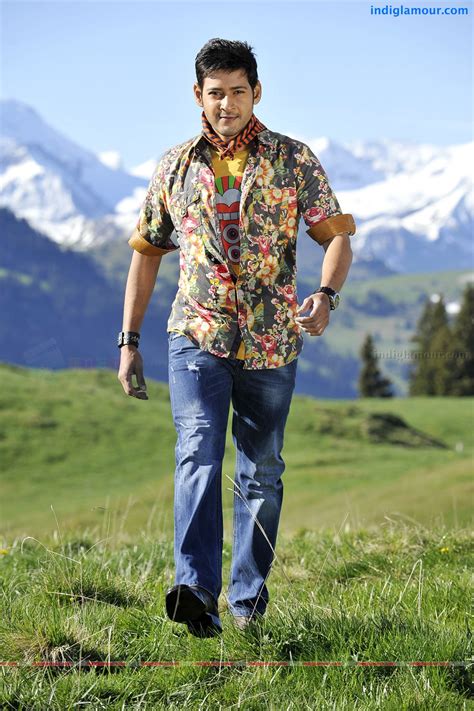 Dookudu Telugu Movie Photos Stills - photo #151979