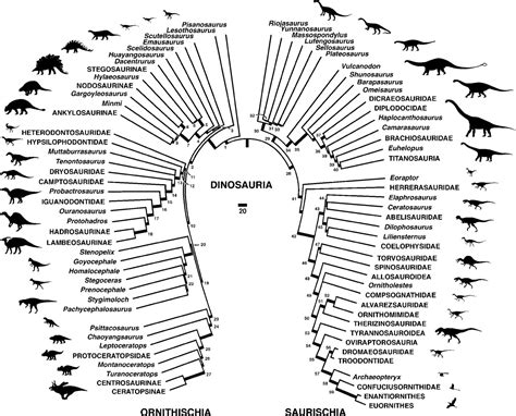 paleontology - Were dinosaurs with feathers common? - Earth Science Stack Exchange