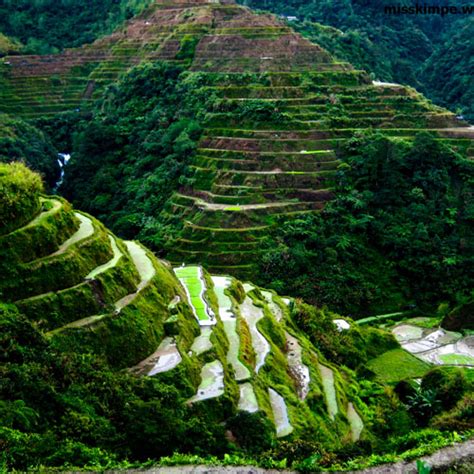 Kiltepan Rice Terraces - Sagada Place of Interests - Sagada Islands Philippines - Great ...