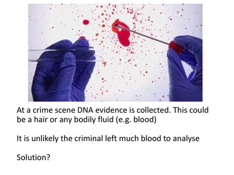 3.5 Genetic modification and biotechnology - ppt download