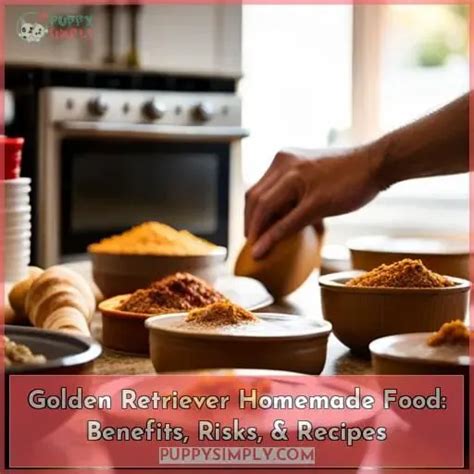 Golden Retriever Homemade Food: Benefits, Risks, & Recipes