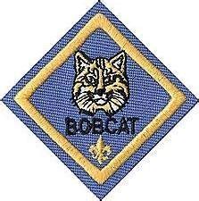 Cub Scout Tiger Uniform - Paperblog