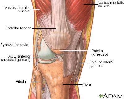 Aging changes in the bones - muscles - joints Information | Mount Sinai - New York