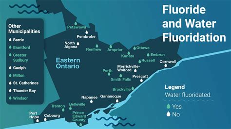 Photos | Fluoride and water fluoridation | Get Involved Kingston by ...