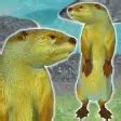 Otter Friends для iPhone — Скачать