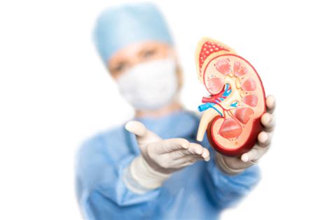 Uremia: What are the Causes, Symptoms, and Treatment