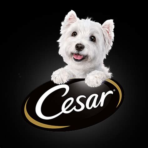 CESAR Canine Cuisine - YouTube