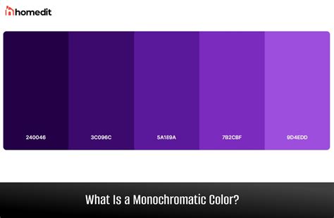 Monochromatic Color Palette 2 Color Palette Monochrom - vrogue.co