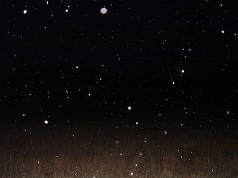 Night-Time Snow Flurries 1 by Loffy0 on DeviantArt