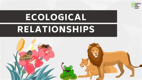 Ecological Relationships | Mutualism | Commensalism | Predation ...