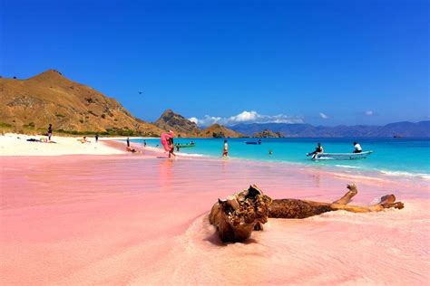 Foto : Kenapa Pasir Pink Beach di Flores, NTT Berwarna Merah Muda?