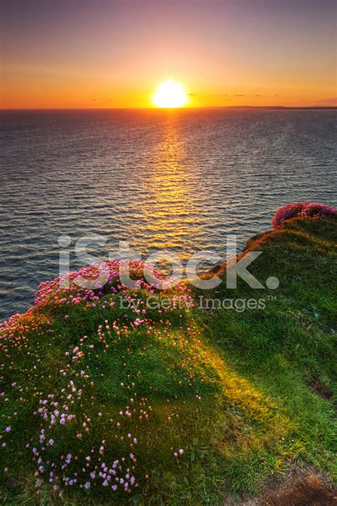 Cliffs Of Moher At Sunset Stock Photo | Royalty-Free | FreeImages