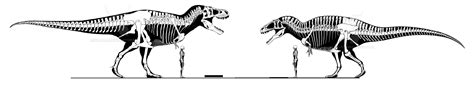 T.rex vs Acrocanthosaurus imagine these big lads being around today :O : r/Paleontology