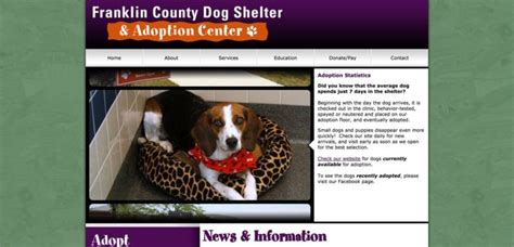 What Is Going On At The Franklin County Dog Shelter?